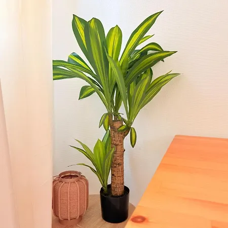 Le Nid Douillet - Parking Included - Haguenau