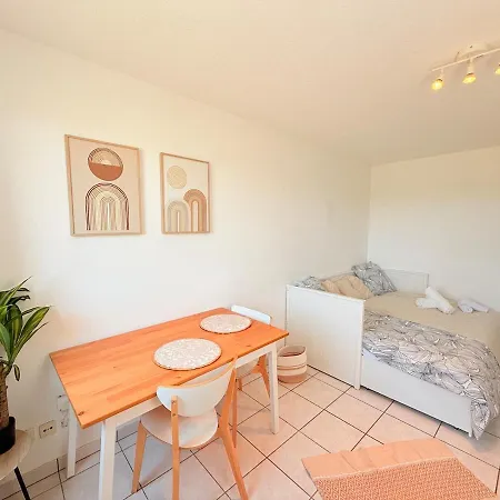 Le Nid Douillet - Parking Included - Apartment Hagenau