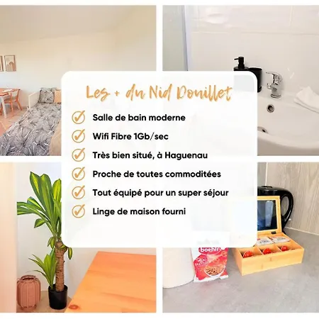 Apartment Le Nid Douillet - Parking Included - Hagenau