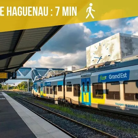 Le Nid Douillet - Parking Included - Apartment Hagenau