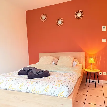 Le Nid Douillet - Parking Included - * Hagenau