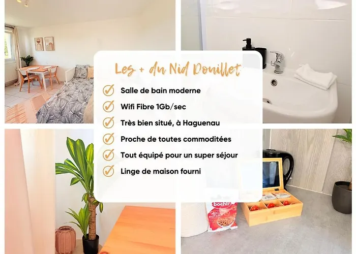 公寓 Le Nid Douillet - Parking Included - 阿格诺