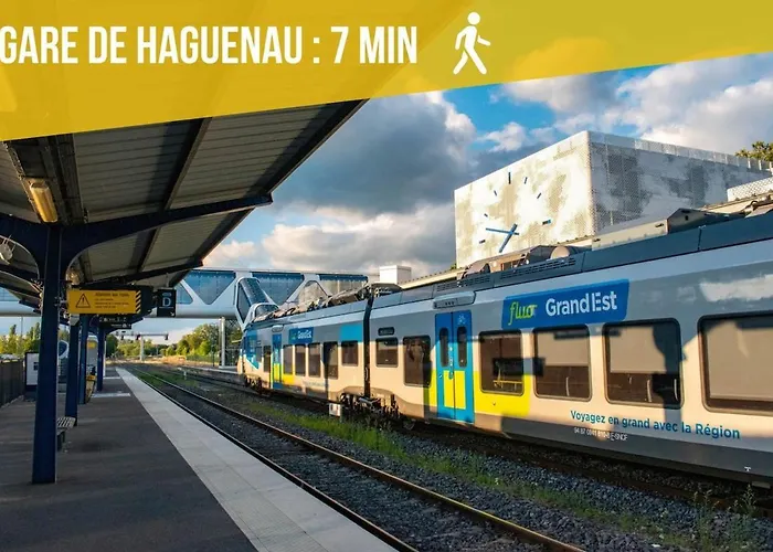 Le Nid Douillet - Parking Included - Apartment Hagenau